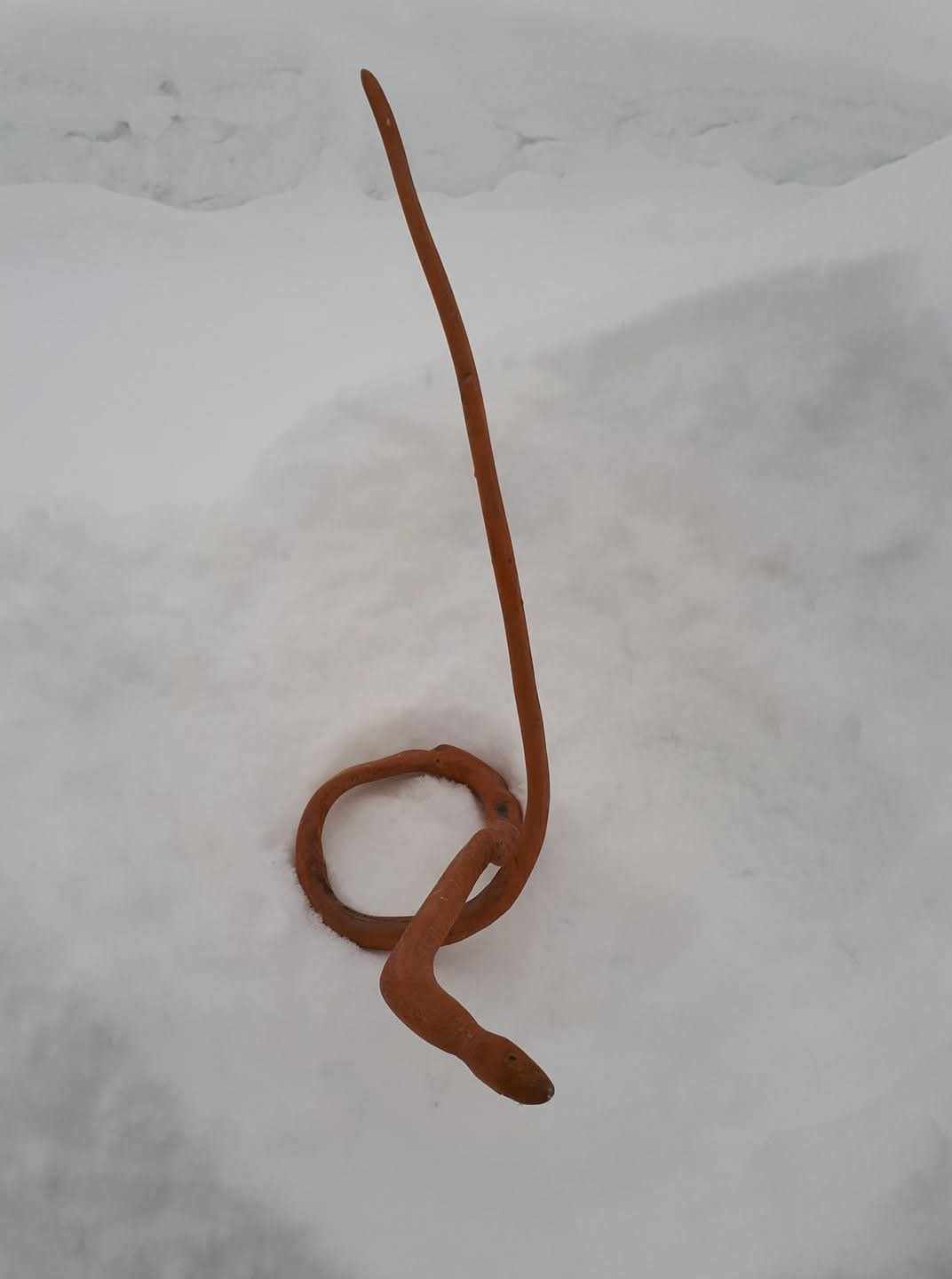 Övrigt av Kaj Utter: Orm i gran.